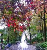 Санаторий "Радуга" (Россия, Сочи) фото