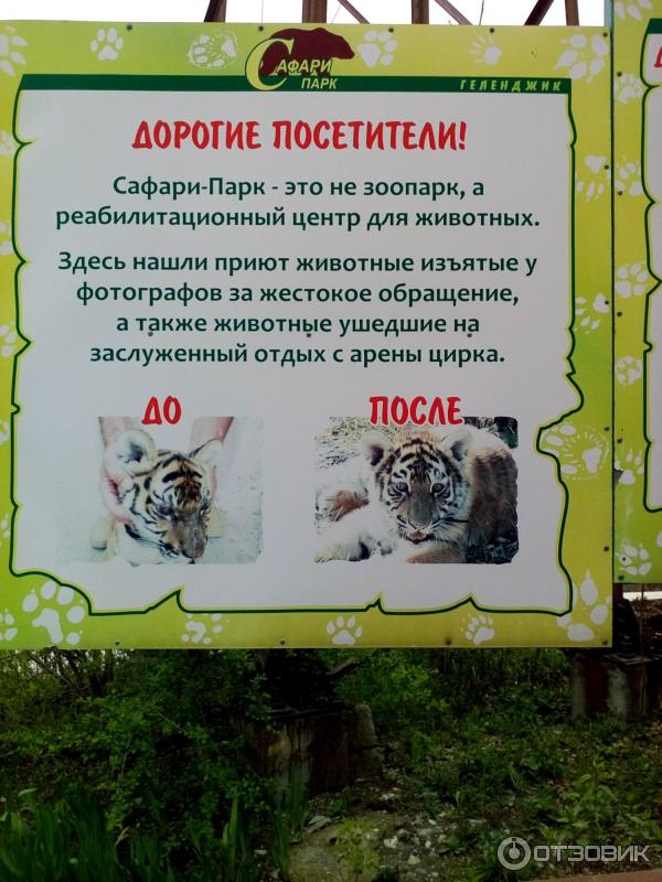 Купить Билет В Сафари Парк Краснодар