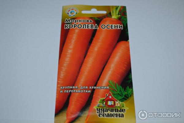Королева Осени Морковь Фото Отзывы Описание