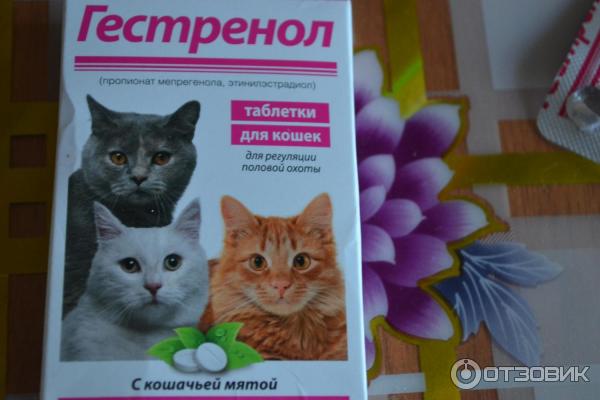Гестренол Для Кошек Капли Цена