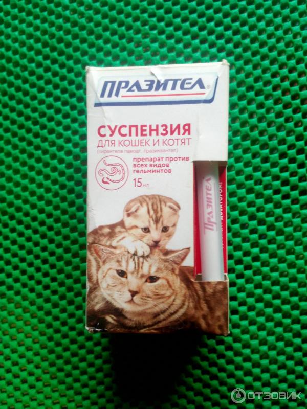 Слабительное для кота