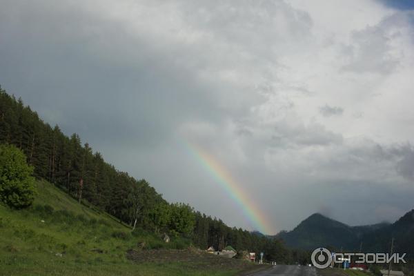 Турбаза Берель (Россия, Алтай) фото