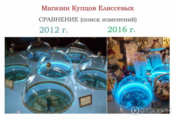 Магазин Купцов Елисеевых (Россия, Санкт-Петербург) - 2012 и 2016 гг. сравнение