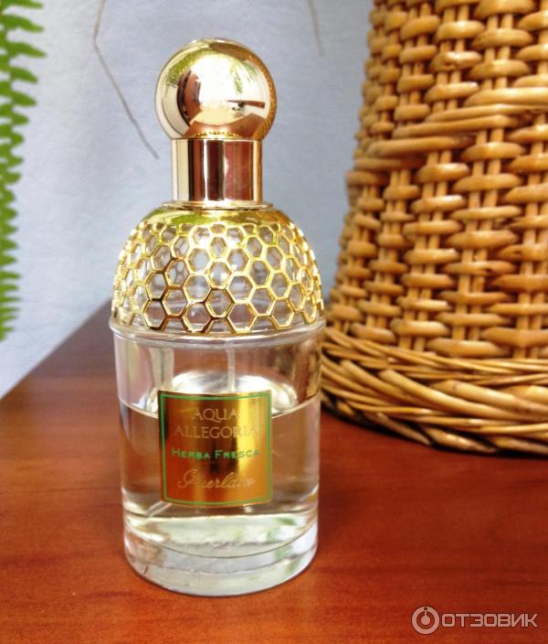 Туалетная вода Guerlain Aqua Allegoria Herba Fresca фото