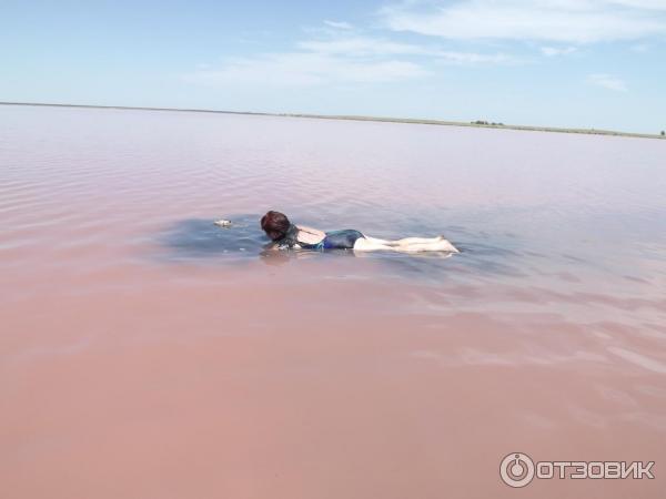 Купить Дом В Малиновом Озере Алтайский Край