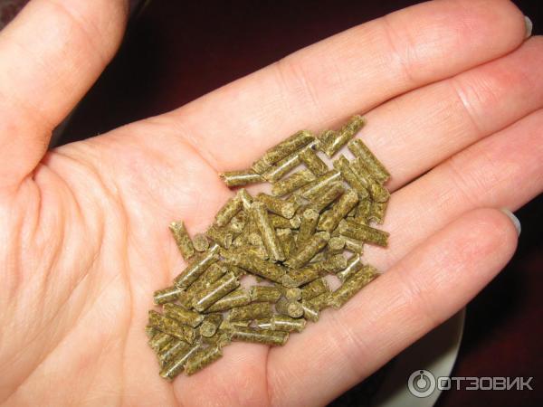 Корм для шиншиллы Vitakraft Pellets