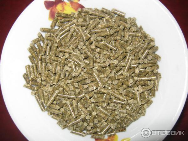 Корм для шиншиллы Vitakraft Pellets