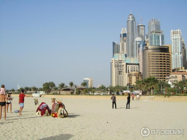 Пляж Dubai Marina beach (ОАЭ, Дубай) фото