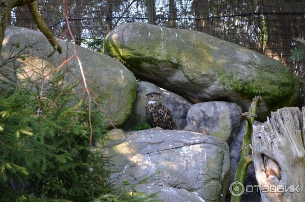 Музей Skansen (Швеция, Стокгольм) фото