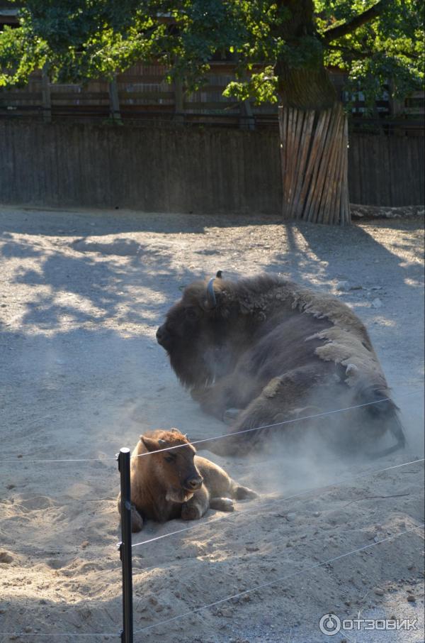 Музей Skansen (Швеция, Стокгольм) фото