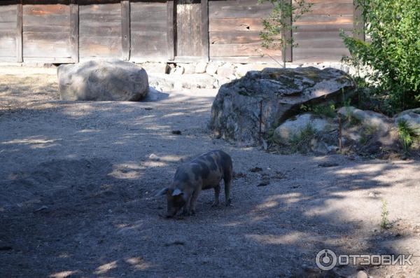 Музей Skansen (Швеция, Стокгольм) фото