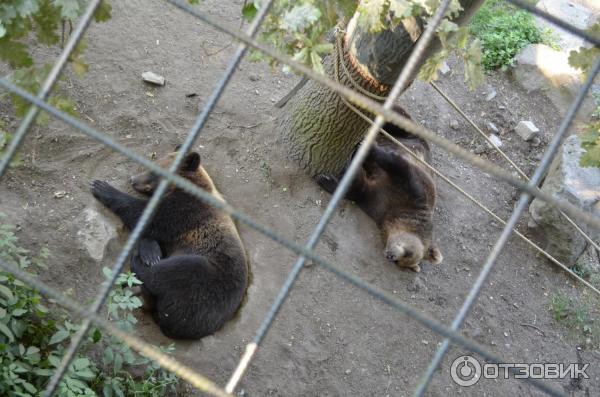 Музей Skansen (Швеция, Стокгольм) фото