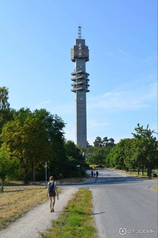 Остров Дьюргарден (Швеция, Стокгольм) фото