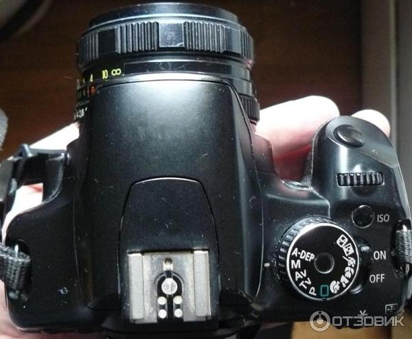 Отзыв о Цифровой зеркальный фотоаппарат Canon EOS 450D | Хороший со ...