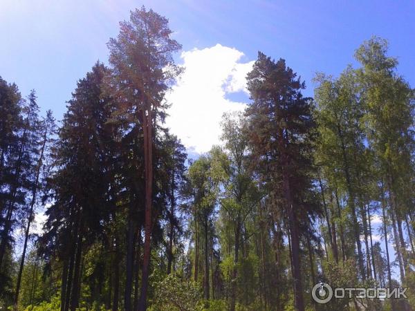 Санаторий Истра работников Прокуратуры РФ (Россия, Московская область) фото