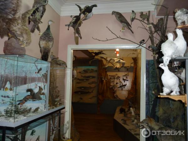 Ясенский музей. Народного музея природы ст. Ясенской. Ясенский музей. Ясенской красивые картинки.