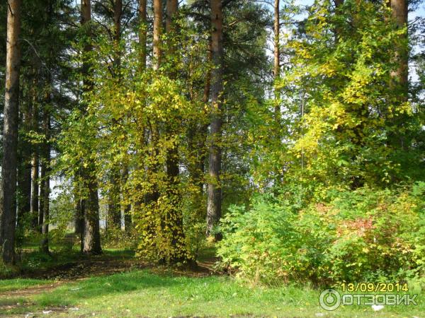 Стол складной Nordway фото