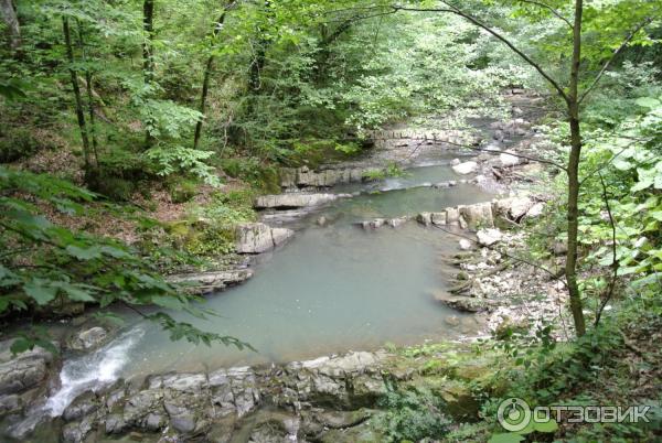 Отдых в г. Сочи (Россия, Краснодарский край) фото