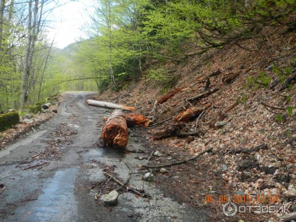 Путешествие в Абхазию