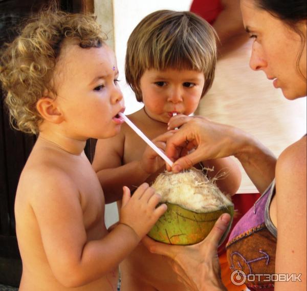 Гоа фото детки