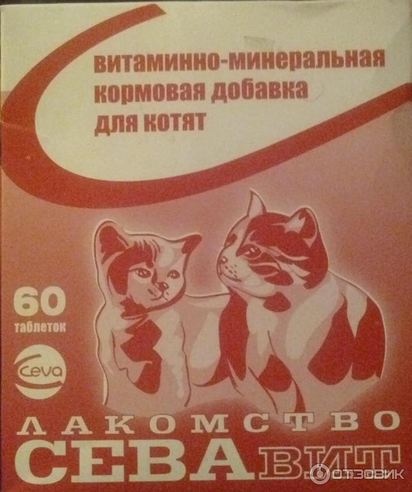 Wolmar витамины для кошек. Добавка в корм сева севавит для кошек с биотином и таурином , 60 таб. Витамины для котят. Китти беафар витамины. Беафар киттис 150т.