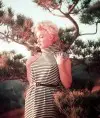Svetlana Monroe