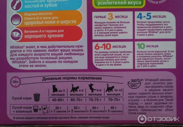 Со Скольки Месяцев Можно Купить