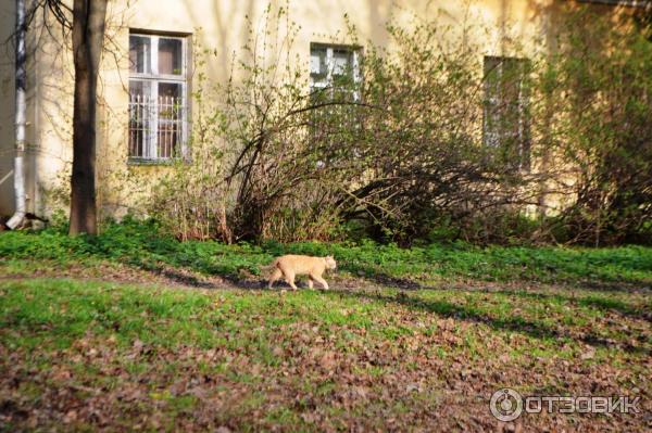 Усадьба Суханово (Россия, Московская область) фото