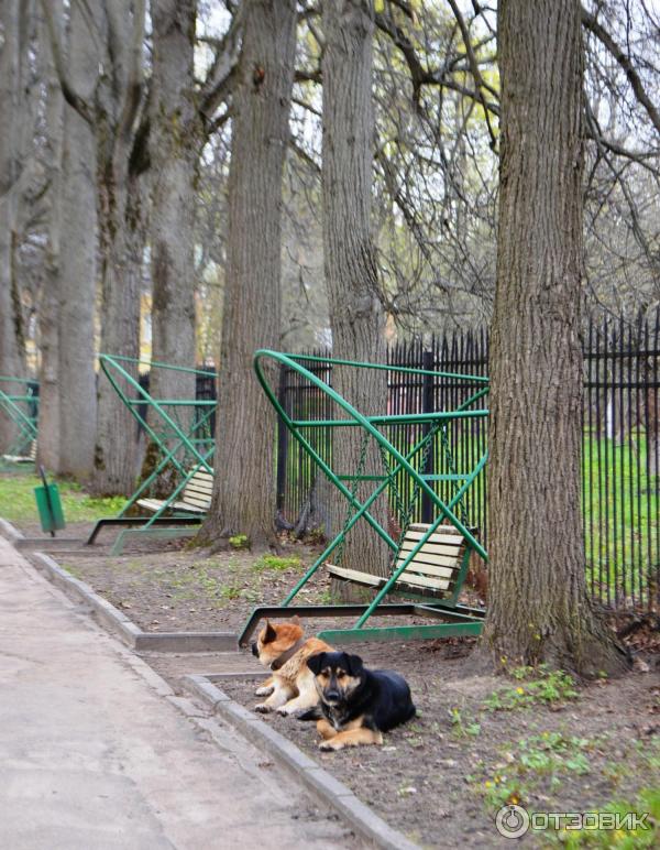 Усадьба Суханово (Россия, Московская область) фото