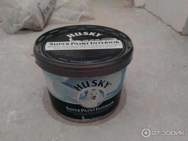 Краска для стен Husky фото