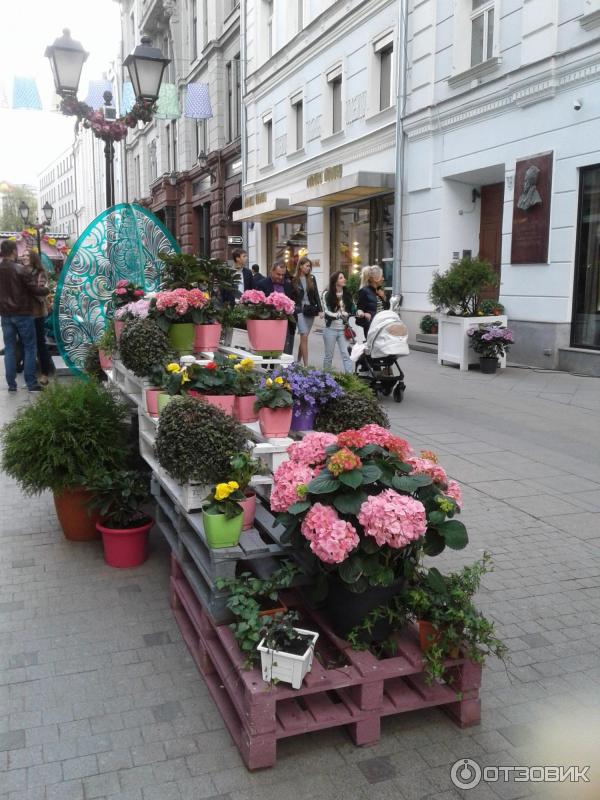 Фестиваль Московская весна (Россия, Москва) фото