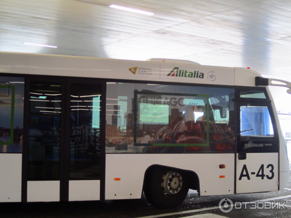 Авиакомпания Alitalia фото