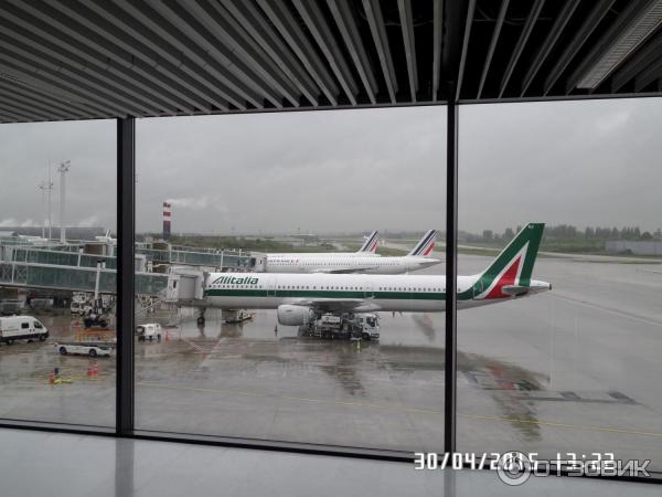 Авиакомпания Alitalia фото