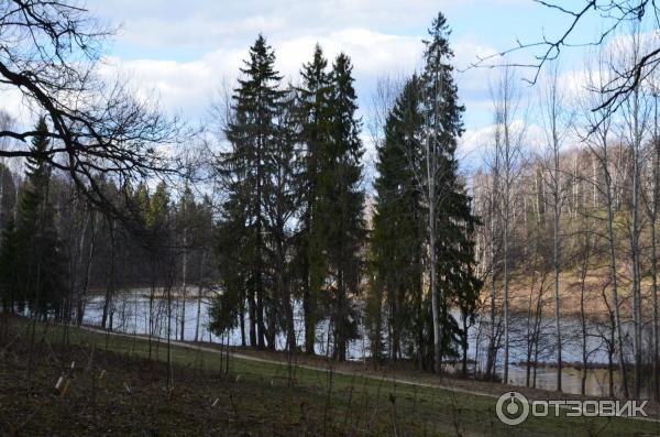 Музей-заповедник Абрамцево (Россия, Сергиево-Посадский район) фото