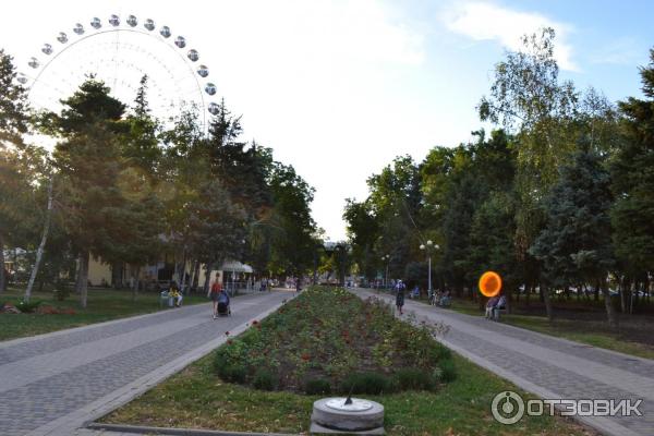 Городской сад в Краснодаре