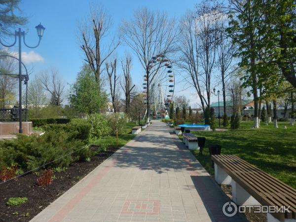 Парк В Ельце Фото