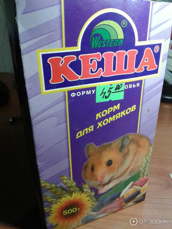 Отзывы о hamster combat отзыв. Корм для хомячков. Корм Кеша для хомячков.