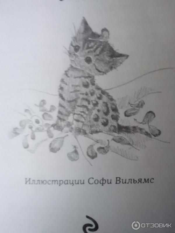 Серия книг Вебб Холли фото