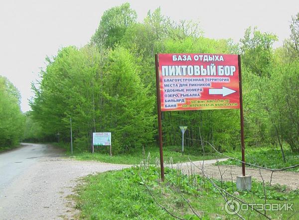 Пихтовый бор
