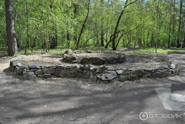 Парк культуры и отдыха Сосновый бор (Россия, Новосибирск) фото