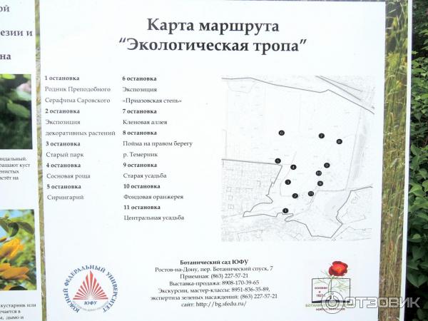 Ботанический Сад Ростов Фото