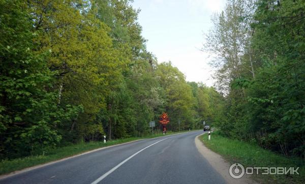 Отдых на Куршской косе (Россия, Калининградская область) фото