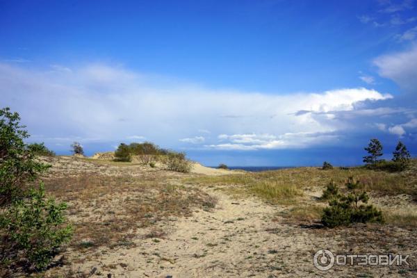 Отдых на Куршской косе (Россия, Калининградская область) фото