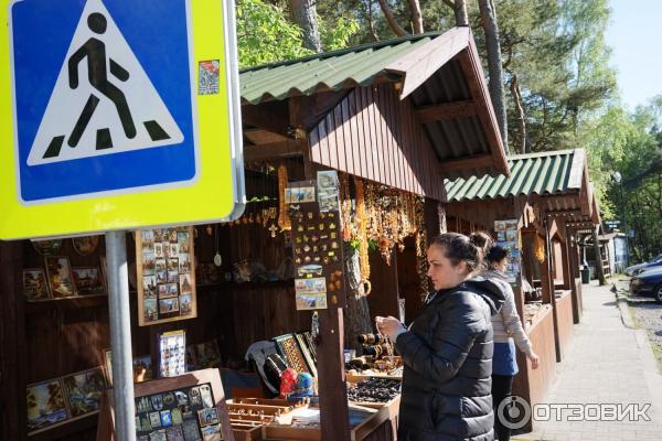 Отдых на Куршской косе (Россия, Калининградская область) фото