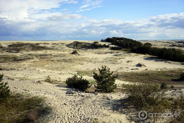 Отдых на Куршской косе (Россия, Калининградская область) фото