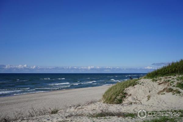 Отдых на Куршской косе (Россия, Калининградская область) фото