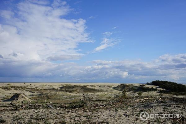 Отдых на Куршской косе (Россия, Калининградская область) фото