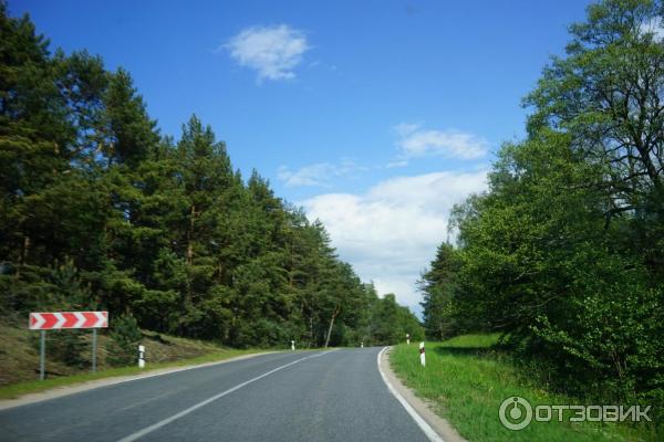 Отдых на Куршской косе (Россия, Калининградская область) фото