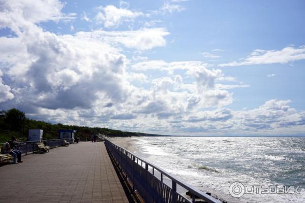 Отдых на Куршской косе (Россия, Калининградская область) фото