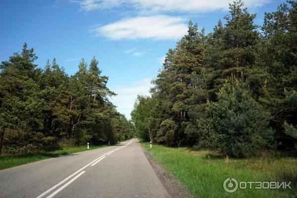 Отдых на Куршской косе (Россия, Калининградская область) фото